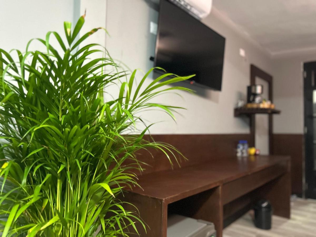 Huasteca Em Suites Ciudad Valles Eksteriør billede